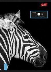 Zeszyt A5/80k Linia Animal World Zebra Unipap