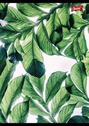 Unipap Zeszyt A5/96k kratka Liście