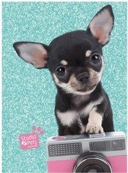 PASO Błyszczący Pamiętnik Studio Pets PTE-3660 Piesek