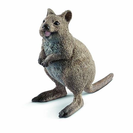 Schleich 14823 - Kuoka Krótkoogonowa