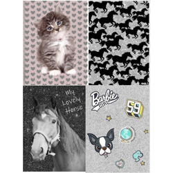 PASO 4 x Pamiętnik Błyszczący Kot Konie