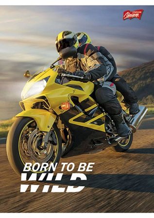 Zeszyt A5/32K kratka MIX Chłopięcy