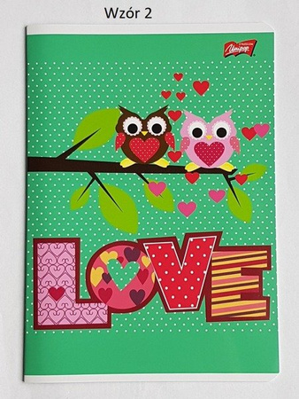Zeszyt A5/16k Linia Dwukolorowa Seria Owls- Unipap