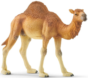Schleich 14832 Wielbłąd Dromader