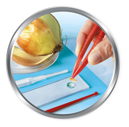 Clementoni - Mikroskop Nauka i Zabawa