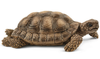 Schleich 42506 Dom dla Żółwi Wild Life
