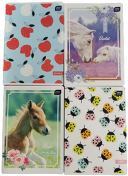 Zeszyt A5/16k Linia Podwójna Kolorowa Mix Wzorów dla Dziewczynki INTERDRUK