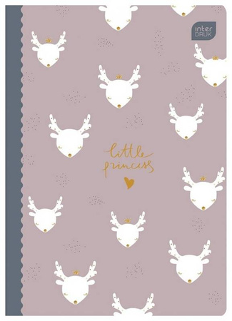 INTERDRUK Zeszyt A5 16k 3-linia kolorowa 70g Trends Girls