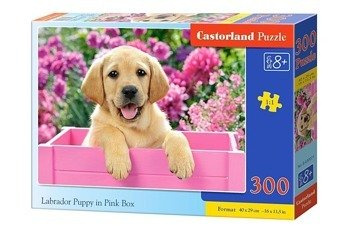 CASTOR Puzzle 300 Szczenię Labrador w róż. pudle