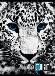 Zeszyt A5 60k Krata St.Right Pantera Panther