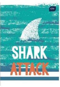 Zeszyt A5/16k Kratka Mix Wzorów dla Chłopca INTERDRUK