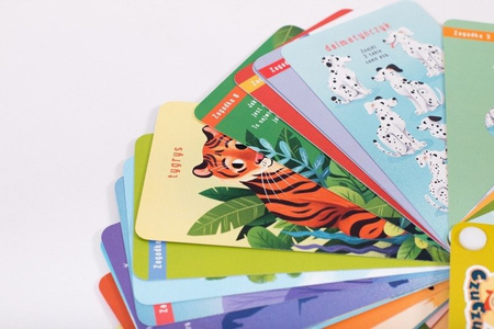 CzuCzu Zestaw Zagadki z Dziurką 4+ Książeczki Edukacyjne