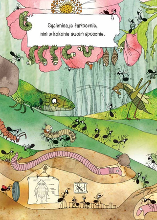 Opowiem Ci, Mamo, Co Robią Mrówki