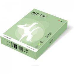 Maestro Papier Brystol kolorowy A4 160g zielony 50 ark