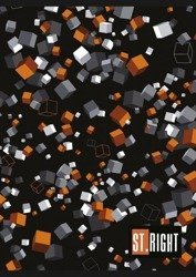 St. Right Zeszyt A4/60k Krata Kostki