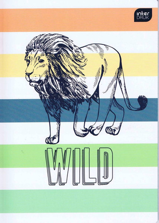 Zeszyt A5/16k Kratka Mix Wzorów dla Chłopca INTERDRUK