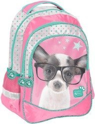 PASO Plecak Szkolny Studio Pets PTD-181 Piesek w Okularach
