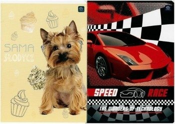 Zeszyt A5/16K kolorowa linia UV mix (20szt)