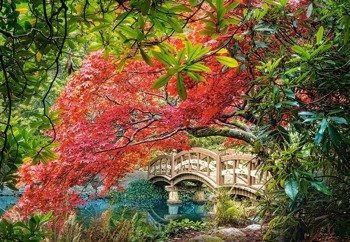 Castorland Puzzle 1000 el Japoński Ogród