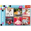 Trefl Puzzle 200el Wesołe psy 13279