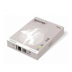 Maestro Papier Brystol kolorowy A4 160g Szary 250 ark