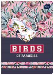 Zeszyt gładki Interdruk A5 miękka oprawa 60k