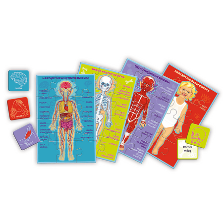 TREFL Mały Odkrywca Moje Ciało Gra Edukacyjna