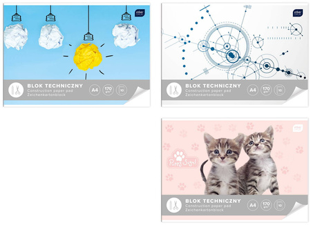 INTERDRUK Blok Techniczny A4 10 kartek Biały 170g