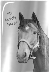 PASO Notes z Lustrzaną Okładką A5 PP19KO-3685 Koń Lovely Horse