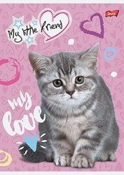 Zeszyt A5/16k linia My Little Friend Love Kot