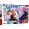 TREFL Puzzle 100 el Razem na Zawsze Frozen Kraina Lodu 2