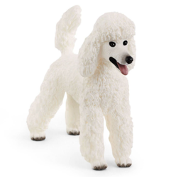Schleich 13917 Pudel Duży Figurka Pies Farm World