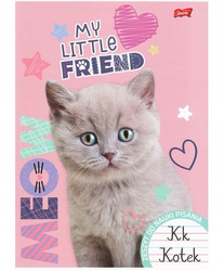 ST.Right Zeszyt do nauki pisania A4 32 k. linia  podwójna dwukolorowa lam.