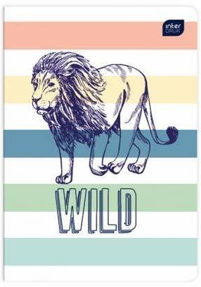 Zeszyt A5/16k Kratka Mix Wzorów dla Chłopca INTERDRUK