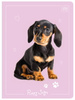Zeszyt A5 32 kratka 70g Uv Puppy Sign Kotek Piesek