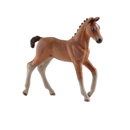 Schleich Zestaw Wałach Źrebak Rasy Hanover