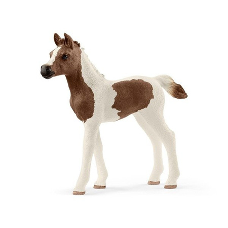 Schleich 13839 - Źrebię Rasy Pintaibian