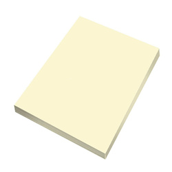 Maestro Papier Brystol kolorowy A4 160g kremowy 50 ark