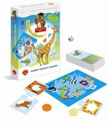 Wzory kształty kolory ALEX