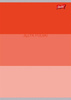 Unipap Zeszyt A5 60k. linia Język Polski (ściąga) Color Stripes