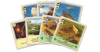 Catan - Pojedynek - samodzielna gra dla 2 graczy