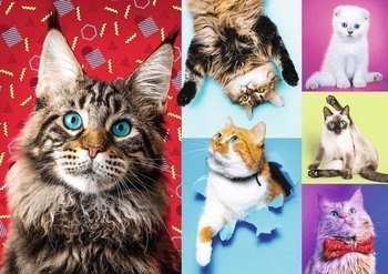 Puzzle 1000 el Wesołe Kotki Koty Śmieszne TREFL