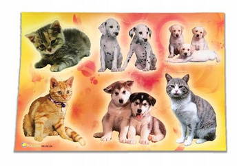 Naklejki obrazkowe M 11x16 cm