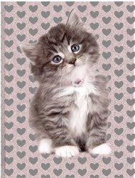 PASO Pamiętnik Błyszczący Rachael Hale RLD-3660 Kot Serduszka