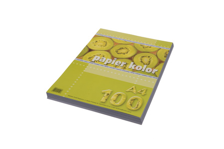 Papier kolorowy A4 80 g/m2 popielaty 100 arkuszy