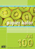 Papier ksero kolorowy A4 80 g/m2 niebieski jasny 100 arkuszy