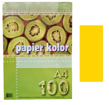 Papier kolorowy A4 80 g/m2 żółty 100 arkuszy