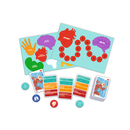 Trefl Ciało człowieka Mistrz Wiedzy Gra Edukacyjna