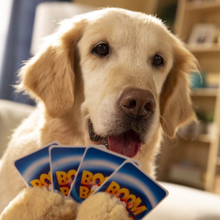 TREFL Boom Boom Psiaki i Kociaki Gra z Dzwonkiem