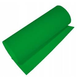 Kreska Brystol Karton A1 170g/m2 zielony